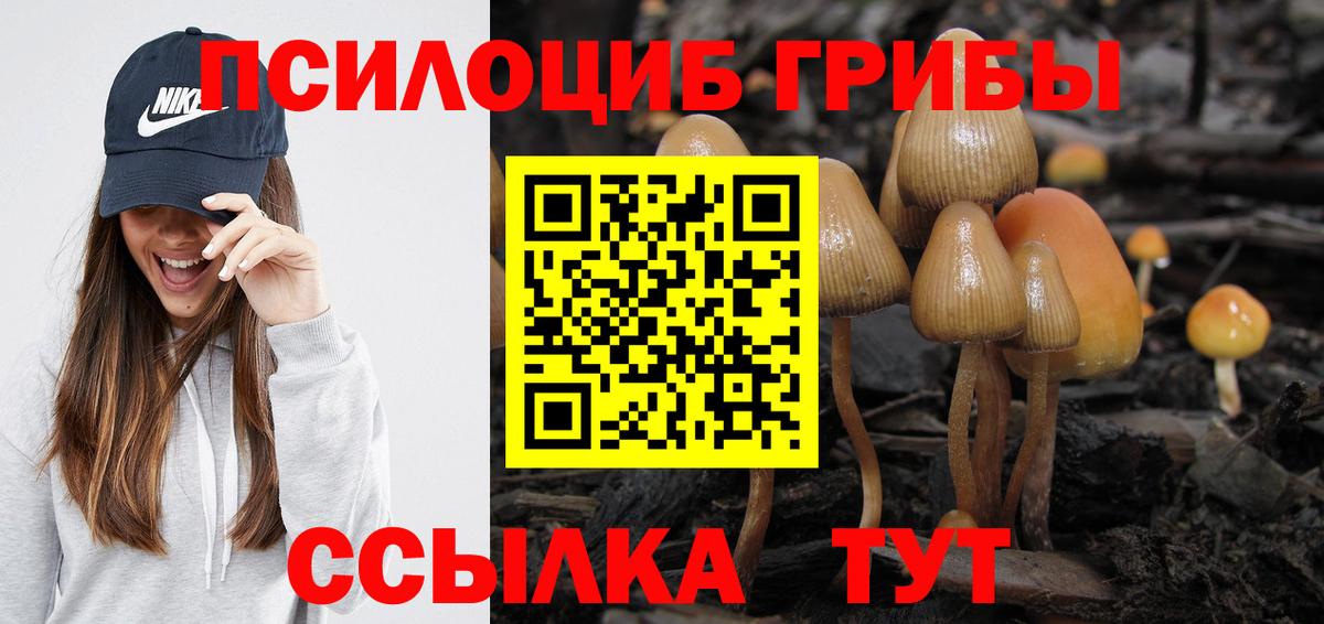 Галлюциногенные грибы мицелий  Вход с VPN  Галлюциногенные грибы Psilocybe  Усинск 